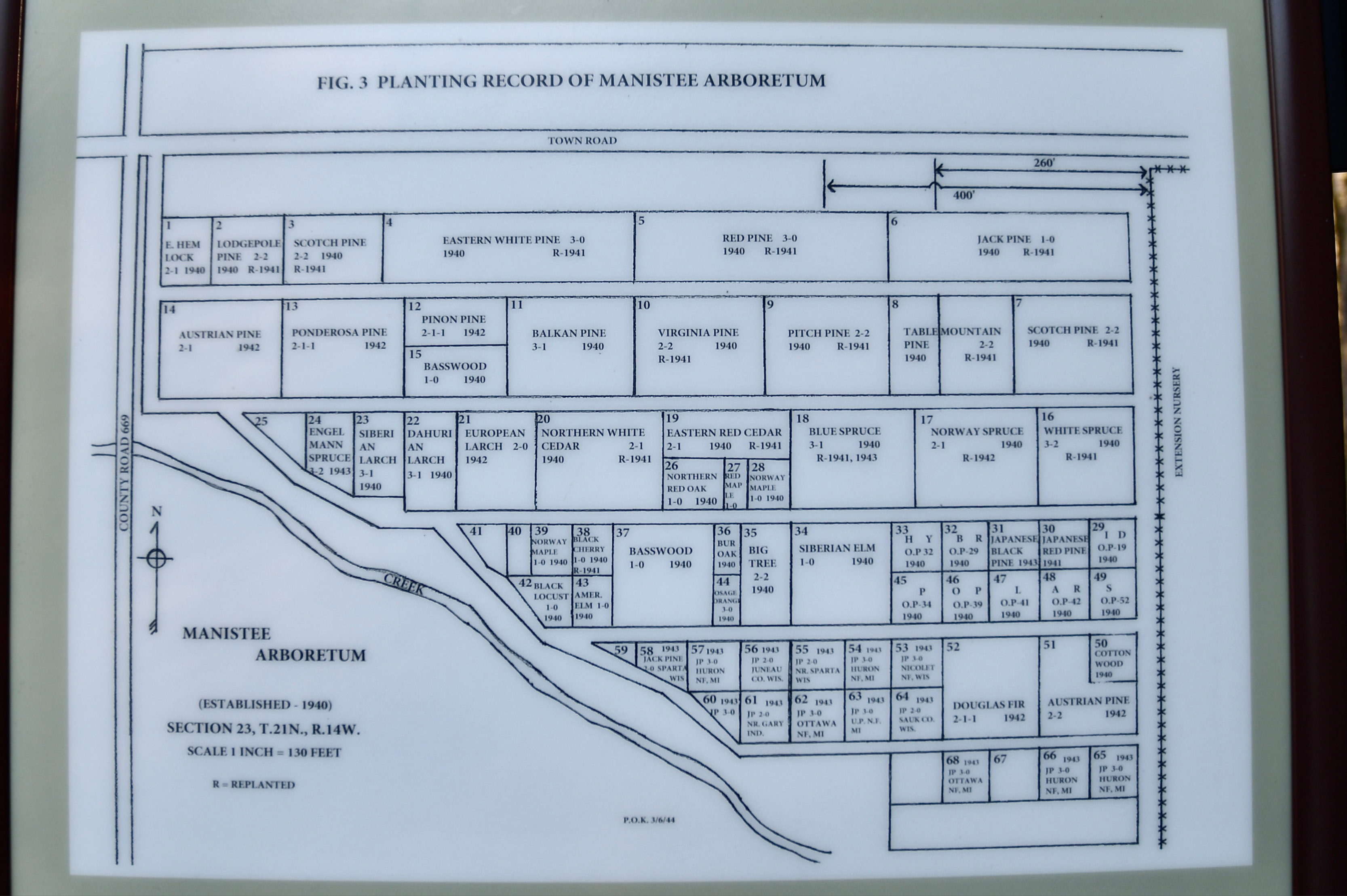 Wellston Arboretum Trail